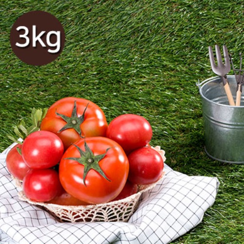 유기농 토마토 3kg